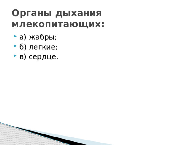 Органы дыхания млекопитающих: а) жабры; б) легкие; в) сердце. 