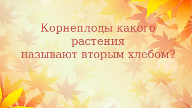Корнеплоды какого растения  называют вторым хлебом? 