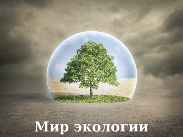 Мир экологии 