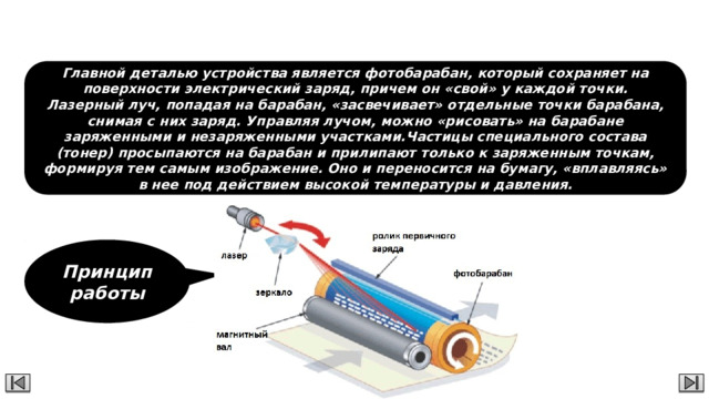 Лазерный принтер  Главной деталью устройства является фотобарабан, который сохраняет на поверхности электрический заряд, причем он «свой» у каждой точки. Лазерный луч, попадая на барабан, «засвечивает» отдельные точки барабана, снимая с них заряд. Управляя лучом, можно «рисовать» на барабане заряженными и незаряженными участками.Частицы специального состава (тонер) просыпаются на барабан и прилипают только к заряженным точкам, формируя тем самым изображение. Оно и переносится на бумагу, «вплавляясь» в нее под действием высокой температуры и давления. Принцип работы 