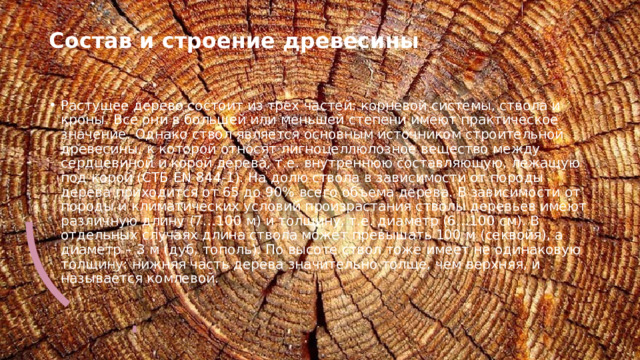 Состав и строение древесины   Растущее дерево состоит из трех частей: корневой системы, ствола и кроны. Все они в большей или меньшей степени имеют практическое значение. Однако ствол является основным источником строительной древесины, к которой относят лигноцеллюлозное вещество между сердцевиной и корой дерева, т.е. внутреннюю составляющую, лежащую под корой (СТБ EN 844-1). На долю ствола в зависимости от породы дерева приходится от 65 до 90% всего объема дерева. В зависимости от породы и климатических условий произрастания стволы деревьев имеют различную длину (7…100 м) и толщину, т.е. диаметр (6…100 см). В отдельных случаях длина ствола может превышать 100 м (секвойя), а диаметр – 3 м (дуб, тополь). По высоте ствол тоже имеет не одинаковую толщину: нижняя часть дерева значительно толще, чем верхняя, и называется комлевой. 