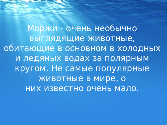 Моржи - очень необычно выглядящие животные, обитающие в основном в холодных и ледяных водах за полярным кругом. Не самые популярные животные в мире, о них известно очень мало. 