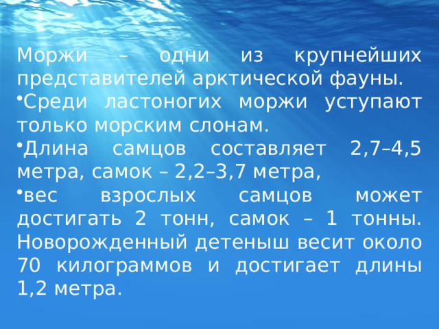 Моржи – одни из крупнейших представителей арктической фауны. Среди ластоногих моржи уступают только морским слонам. Длина самцов составляет 2,7–4,5 метра, самок – 2,2–3,7 метра, вес взрослых самцов может достигать 2 тонн, самок – 1 тонны. Новорожденный детеныш весит около 70 килограммов и достигает длины 1,2 метра. 