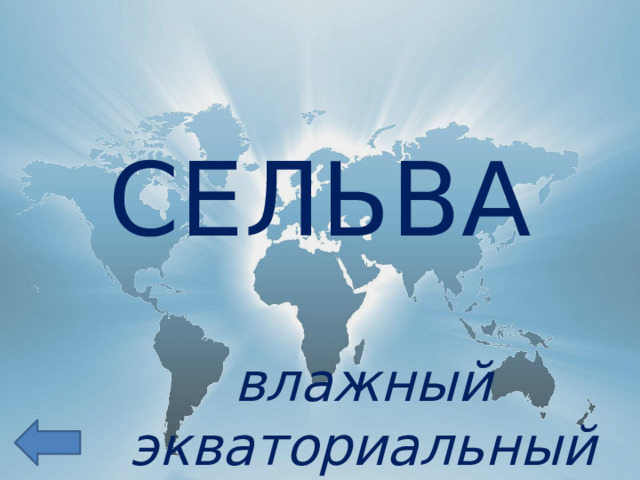 СЕЛЬВА влажный экваториальный лес 