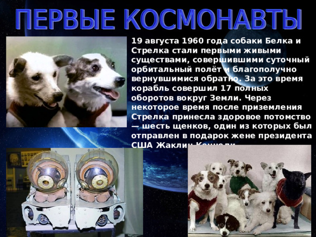 19 августа 1960 года собаки Белка и Стрелка стали первыми живыми существами, совершившими суточный орбитальный полёт и благополучно вернувшимися обратно. За это время корабль совершил 17 полных оборотов вокруг Земли. Через некоторое время после приземления Стрелка принесла здоровое потомство — шесть щенков, один из которых был отправлен в подарок жене президента США Жаклин Кеннеди. 