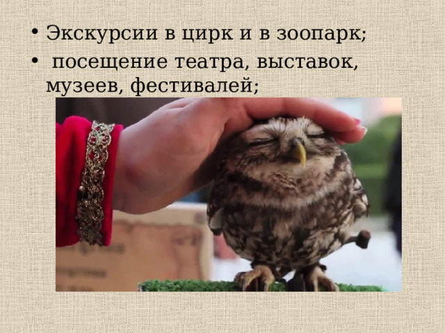 Экскурсии в цирк и в зоопарк;  посещение театра, выставок, музеев, фестивалей;    