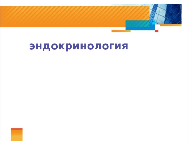  эндокринология 