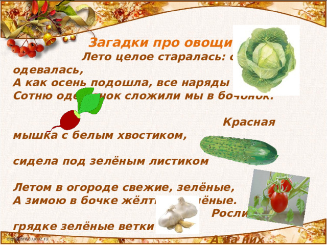 Загадки про овощи  Лето целое старалась: одевалась, одевалась, А как осень подошла, все наряды отдала – Сотню одежонок сложили мы в бочонок.   Красная мышка с белым хвостиком,  В норке сидела под зелёным листиком  Летом в огороде свежие, зелёные, А зимою в бочке жёлтые, солёные.  Росли на грядке зелёные ветки –  А на них красные детки. Маленький, горький, луку брат.  