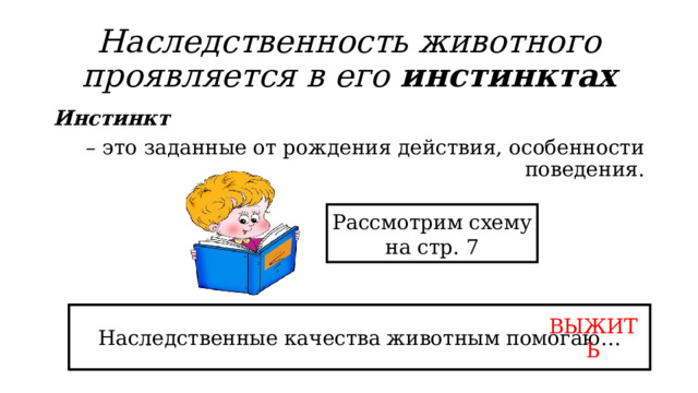 Наследственность животного проявляется в его инстинктах Инстинкт – это заданные от рождения действия, особенности поведения. Рассмотрим схему на стр. 7 Почему кошка стала заботиться о ежатах? Ей ведь не объяснишь, что их мама погибла? Наследственные качества животным помогаю… ВЫЖИТЬ 