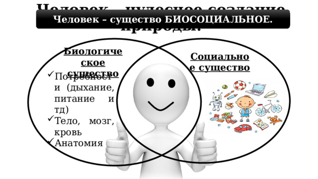 Человек - чудесное создание природы. Человек – существо БИОСОЦИАЛЬНОЕ. Социальное существо Биологическое существо Потребности (дыхание, питание и тд) Тело, мозг, кровь Анатомия 