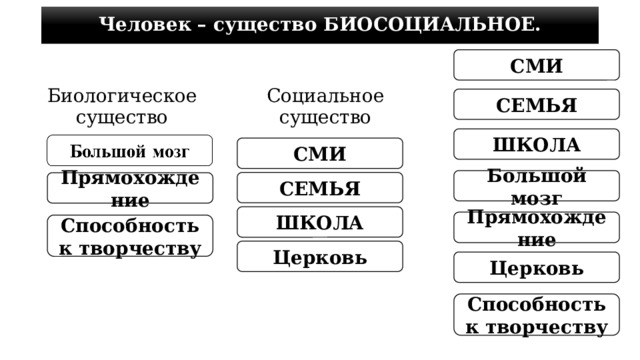 Человек – существо БИОСОЦИАЛЬНОЕ. СМИ Биологическое существо Социальное существо СЕМЬЯ ШКОЛА СМИ Большой мозг СЕМЬЯ Прямохождение ШКОЛА Прямохождение Способность к творчеству Церковь Церковь Способность к творчеству 