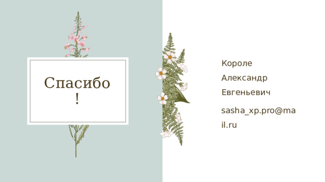 Короле Александр Евгеньевич sasha_xp.pro@mail.ru Спасибо! 17
