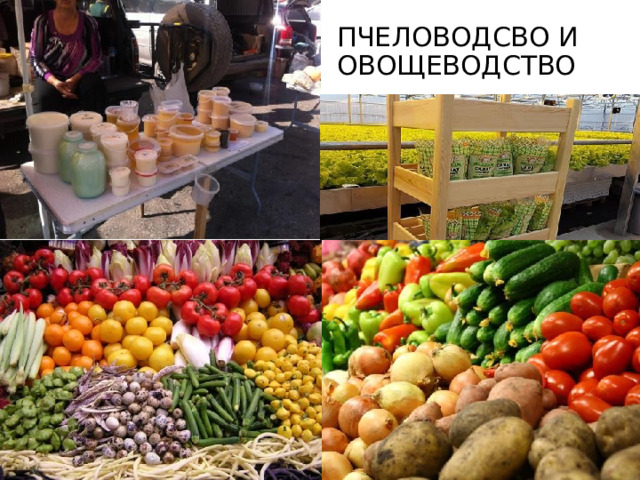 Пчеловодсво и овощеводство 