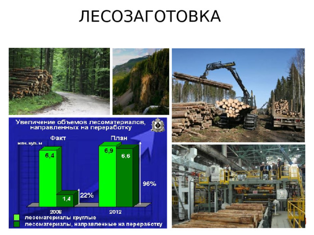 Лесозаготовка 