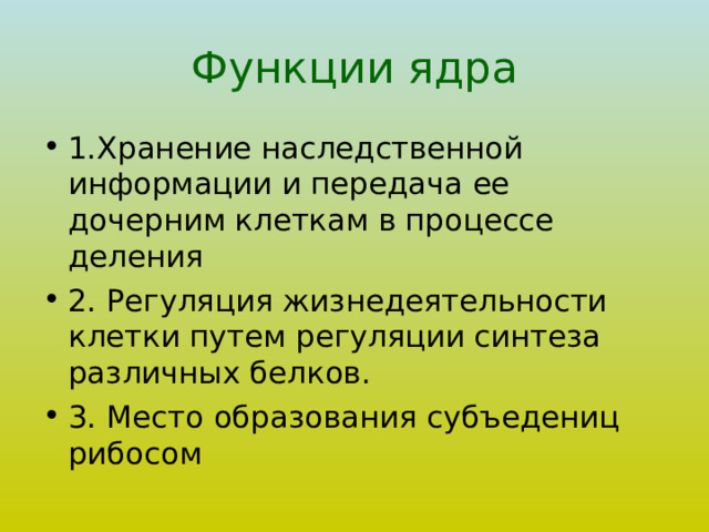 Функции ядра 1.Хранение наследственной информации и передача ее дочерним клеткам в процессе деления 2. Регуляция жизнедеятельности клетки путем регуляции синтеза различных белков. 3. Место образования субъедениц рибосом 