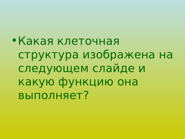 Какая клеточная структура изображена на следующем слайде и какую функцию она выполняет? 