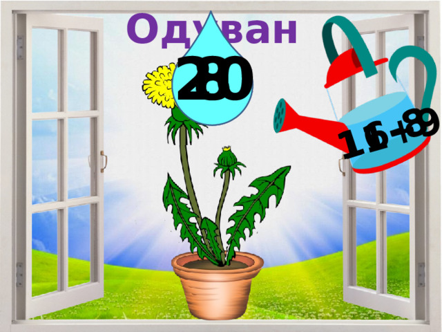 Одуванчик 11+9 16-8 20 8 