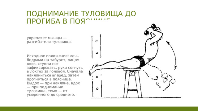 Поднимание туловища до прогиба в пояснице укрепляет мышцы — разгибатели туловища. Исходное положение: лечь бедрами на табурет, лицом вниз, ступни ног зафиксировать, руки согнуть в локтях за головой. Сначала наклониться вперед, затем прогнуться в пояснице. Выдох — при наклоне, вдох — при поднимании туловища, темп — от умеренного до среднего. 1 