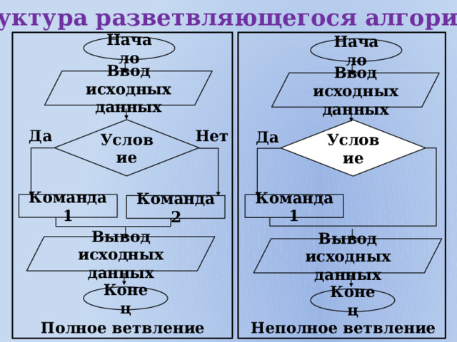 Структура разветвляющегося алгоритма  Начало Начало Ввод исходных данных Ввод исходных данных         Условие Условие Нет Да Да Команда 1 Команда 1 Команда 2 Вывод исходных данных Вывод исходных данных Конец Конец Полное ветвление Неполное ветвление 