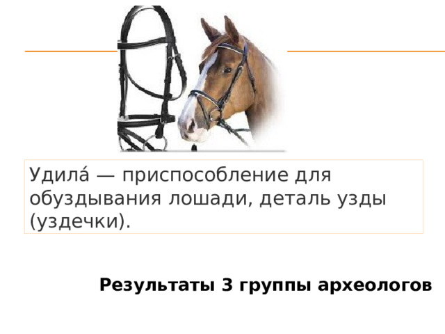 Удила́ — приспособление для обуздывания лошади, деталь узды (уздечки). Результаты 3 группы археологов 
