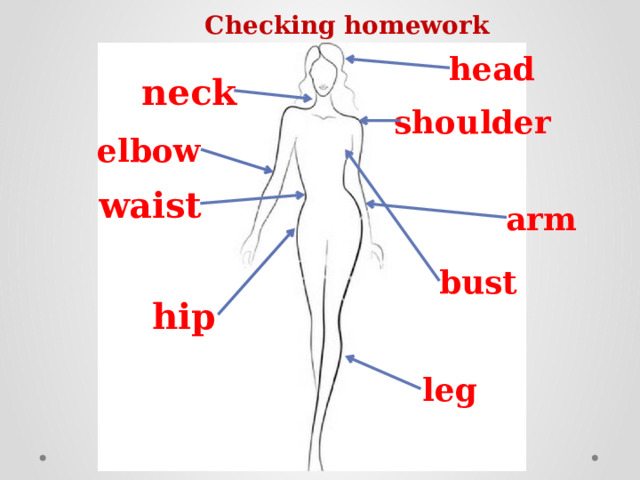  Checking homework head neck shoulder elbow waist arm bust hip leg 
