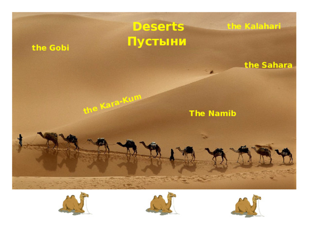 the Kara-Kum Deserts Пустыни the Kalahari the Gobi the Sahara The Namib 
