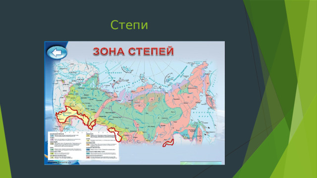 Степи 