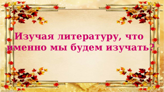 Изучая литературу, что именно мы будем изучать? 