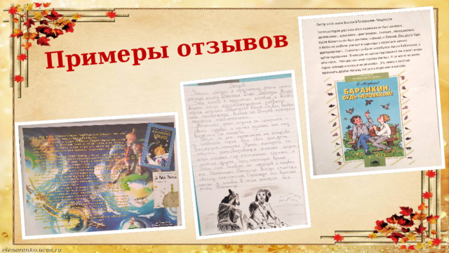 Примеры отзывов 