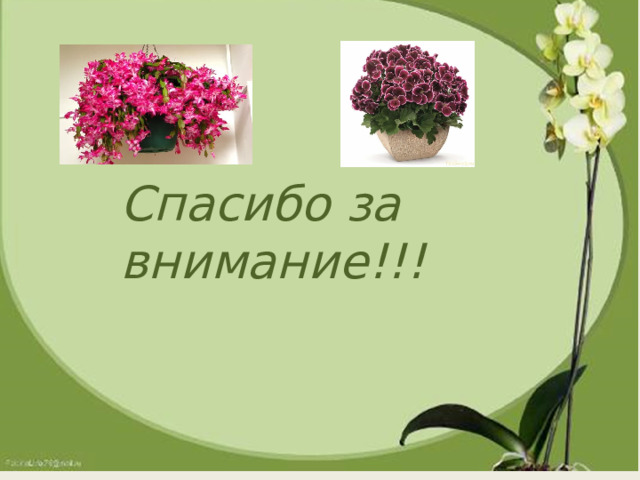 Спасибо за внимание!!! 