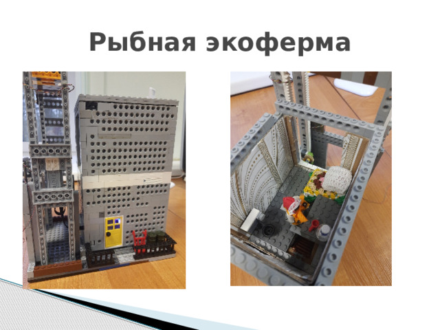 Рыбная экоферма 