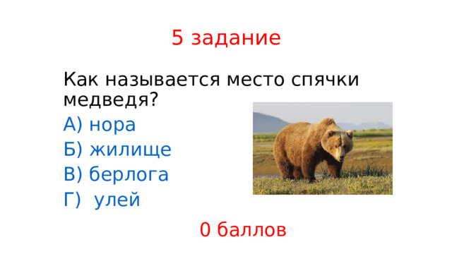 5 задание Как называется место спячки медведя? А) нора Б) жилище В) берлога Г)  улей 0 баллов 