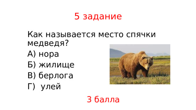 5 задание Как называется место спячки медведя? А) нора Б) жилище В) берлога Г) улей 3 балла 