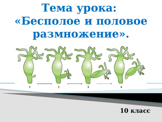 Тема урока:  «Бесполое и половое размножение». 10 класс 