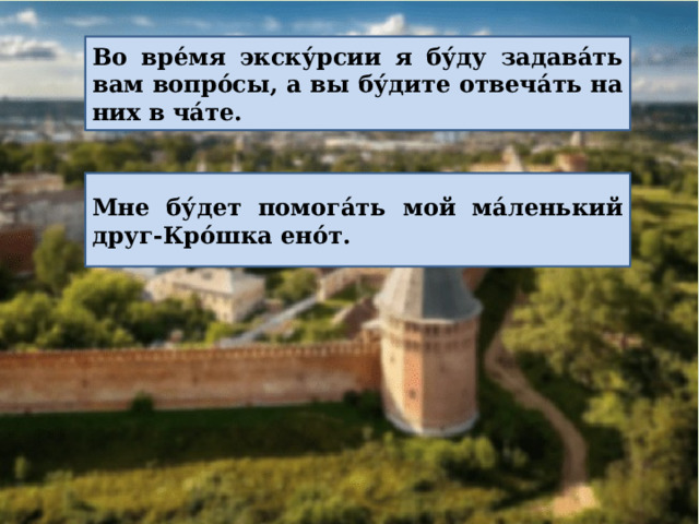 Во вре́мя экску́рсии я бу́ду задава́ть вам вопро́сы, а вы бу́дите отвеча́ть на них в ча́те. Мне бу́дет помога́ть мой ма́ленький друг-Кро́шка ено́т. 