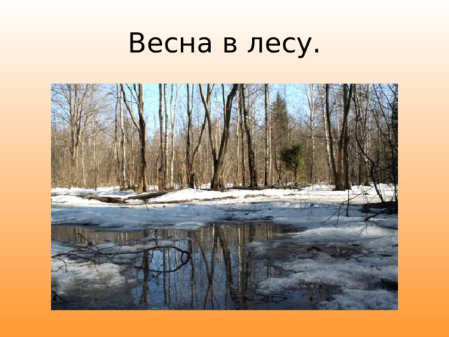 Весна в лесу. 