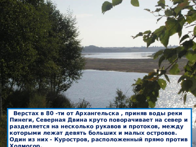  Верстах в 80 -ти от Архангельска , приняв воды реки Пинеги, Северная Двина круто поворачивает на север и разделяется на несколько рукавов и протоков, между которыми лежат девять больших и малых островов. Один из них - Куростров, расположенный прямо против Холмогор. 