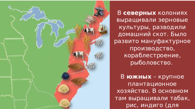 В северных колониях выращивали зерновые культуры, разводили домашний скот. Было развито мануфактурное производство, кораблестроение, рыболовство. В южных – крупное плантационное хозяйство. В основном там выращивали табак, рис, индиго (для получения синей краски). 