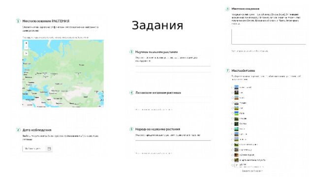 Задания 