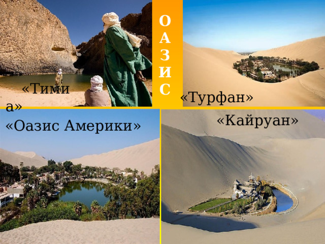 ОАЗИС «Турфан» «Тимиа» «Кайруан» «Оазис Америки» 2 