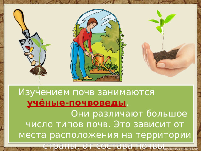  Изучением почв занимаются учёные-почвоведы . Они различают большое число типов почв. Это зависит от места расположения на территории страны, от состава почвы. 