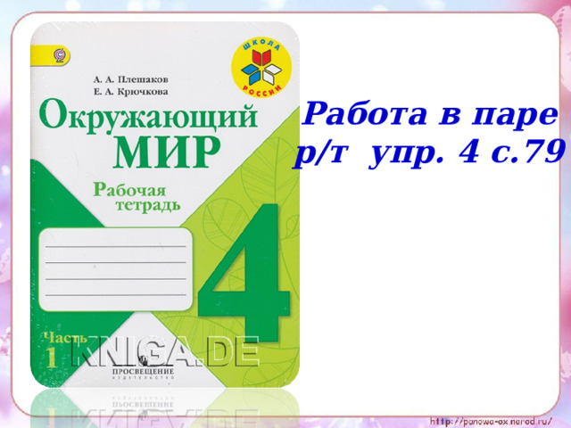 Работа в паре р/т упр. 4 с.79 