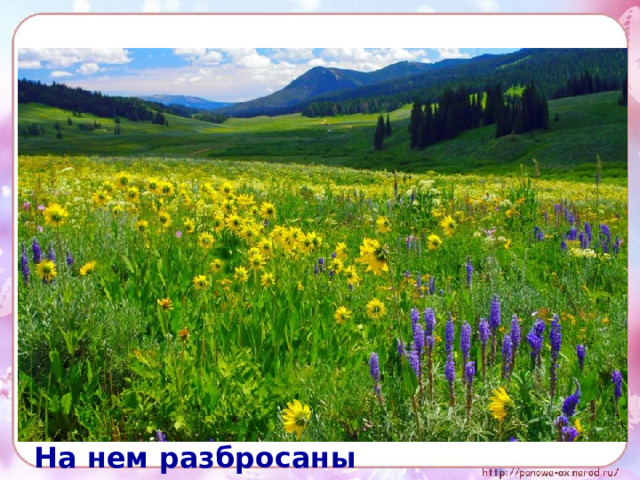 Бежит тропинка через луг, Ныряет влево, вправо. Куда ни глянь – цветы Да по колено травы. Зелёный луг, как чудный сад, Пахуч и свеж в часы рассвета. Красивых радужных цветов На нем разбросаны букеты.  И. Суриков 