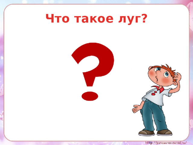 Что такое луг? 