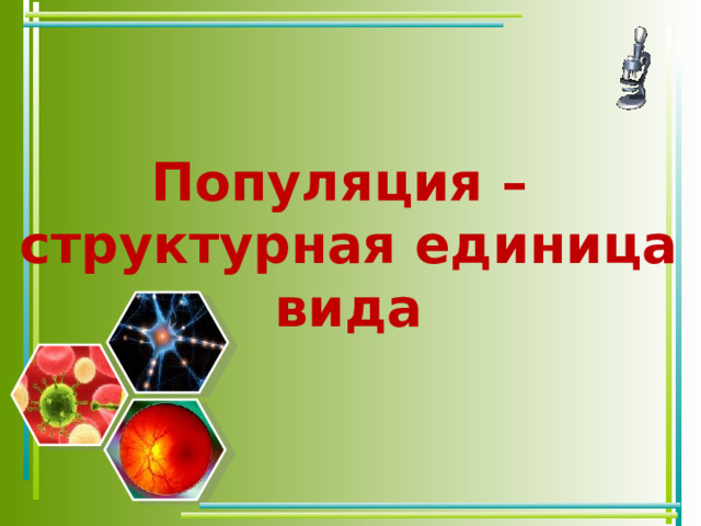 Популяция –  структурная единица вида 