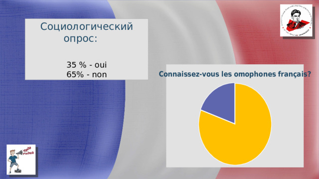 Социологический опрос: 35 % - oui 65% - non 
