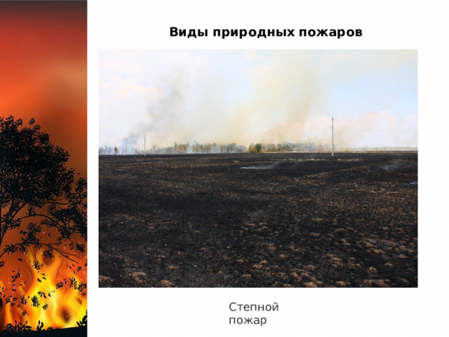 Виды природных пожаров Степной пожар 