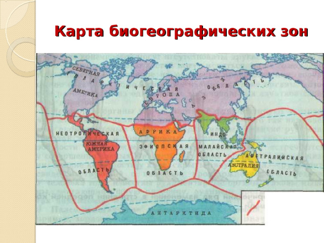 Карта биогеографических зон 