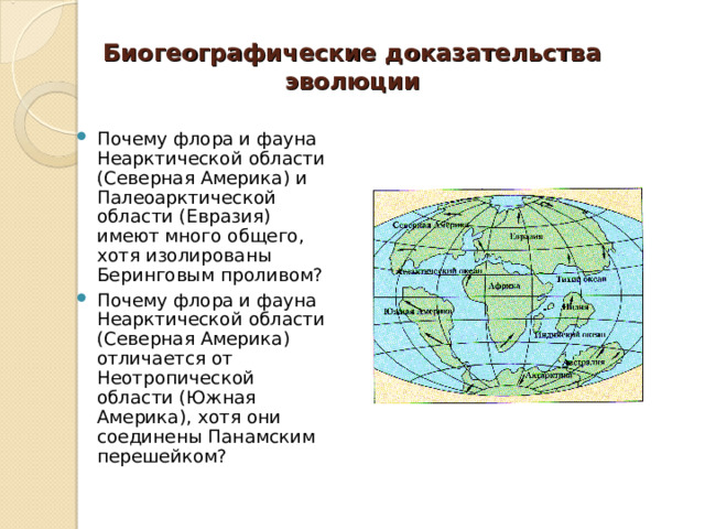 Биогеографические доказательства эволюции Почему флора и фауна Неарктической области (Северная Америка) и Палеоарктической области (Евразия) имеют много общего, хотя изолированы Беринговым проливом? Почему флора и фауна Неарктической области (Северная Америка) отличается от Неотропической области (Южная Америка), хотя они соединены Панамским перешейком?  