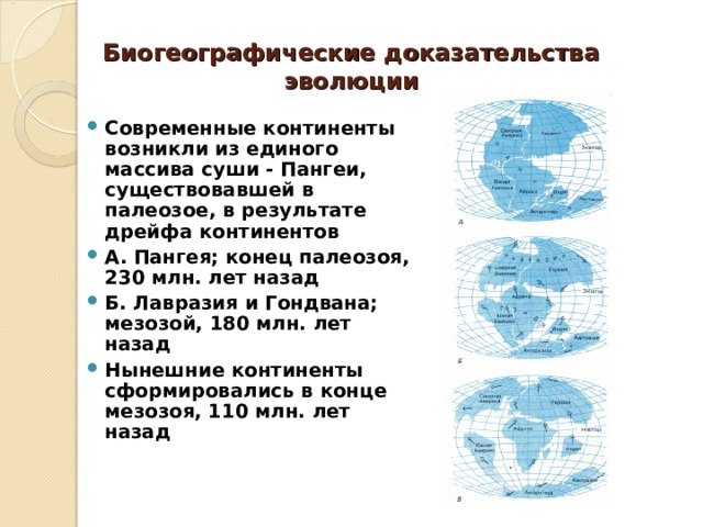Биогеографические доказательства эволюции Современные континенты возникли из единого массива суши - Пангеи, существовавшей в палеозое, в результате дрейфа континентов А. Пангея; конец палеозоя, 230 млн. лет назад Б. Лавразия и Гондвана; мезозой, 180 млн. лет назад Нынешние континенты сформировались в конце мезозоя, 110 млн. лет назад  